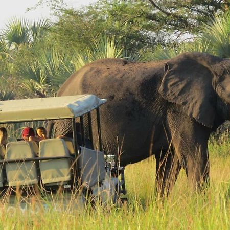 Tembe Elephant Park Lodge Sihangwane 外观 照片