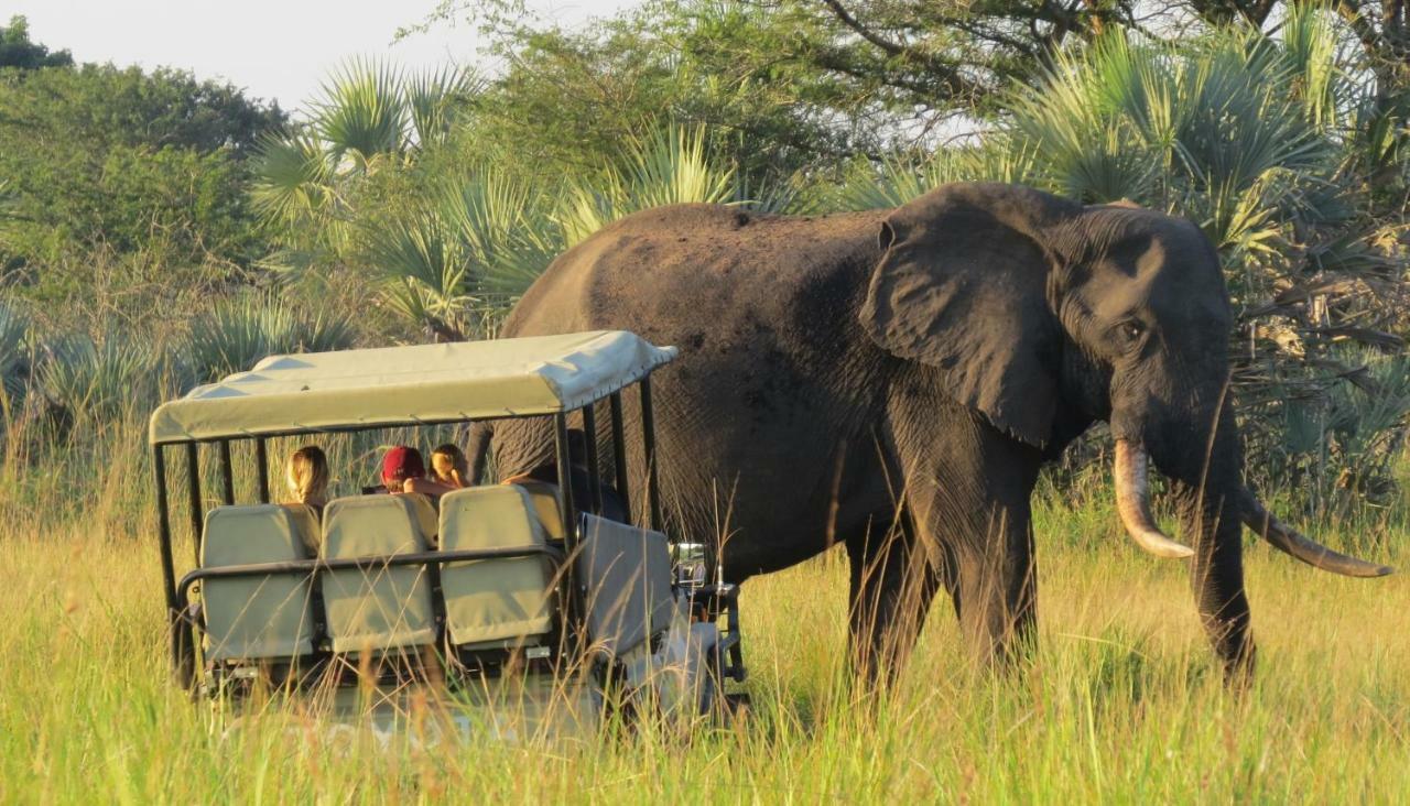 Tembe Elephant Park Lodge Sihangwane 外观 照片