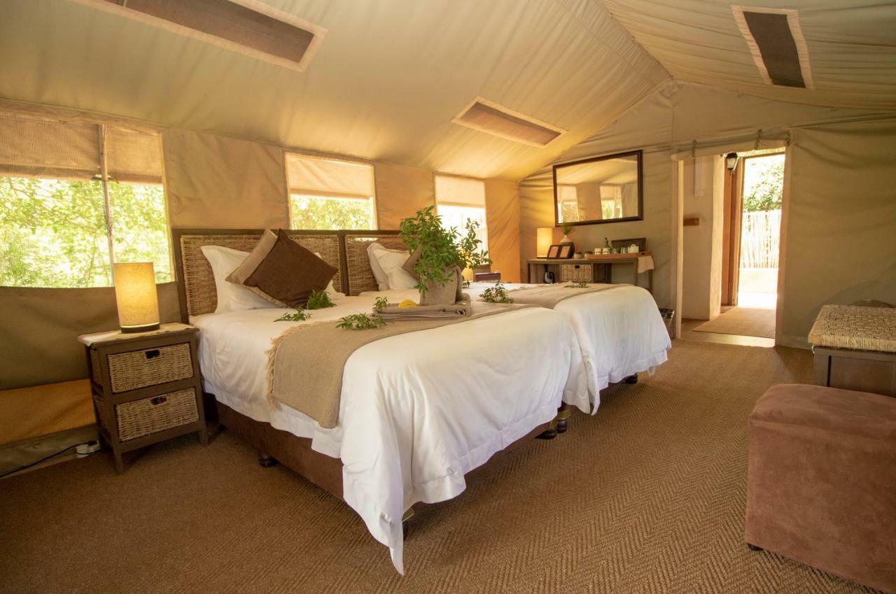 Tembe Elephant Park Lodge Sihangwane 外观 照片