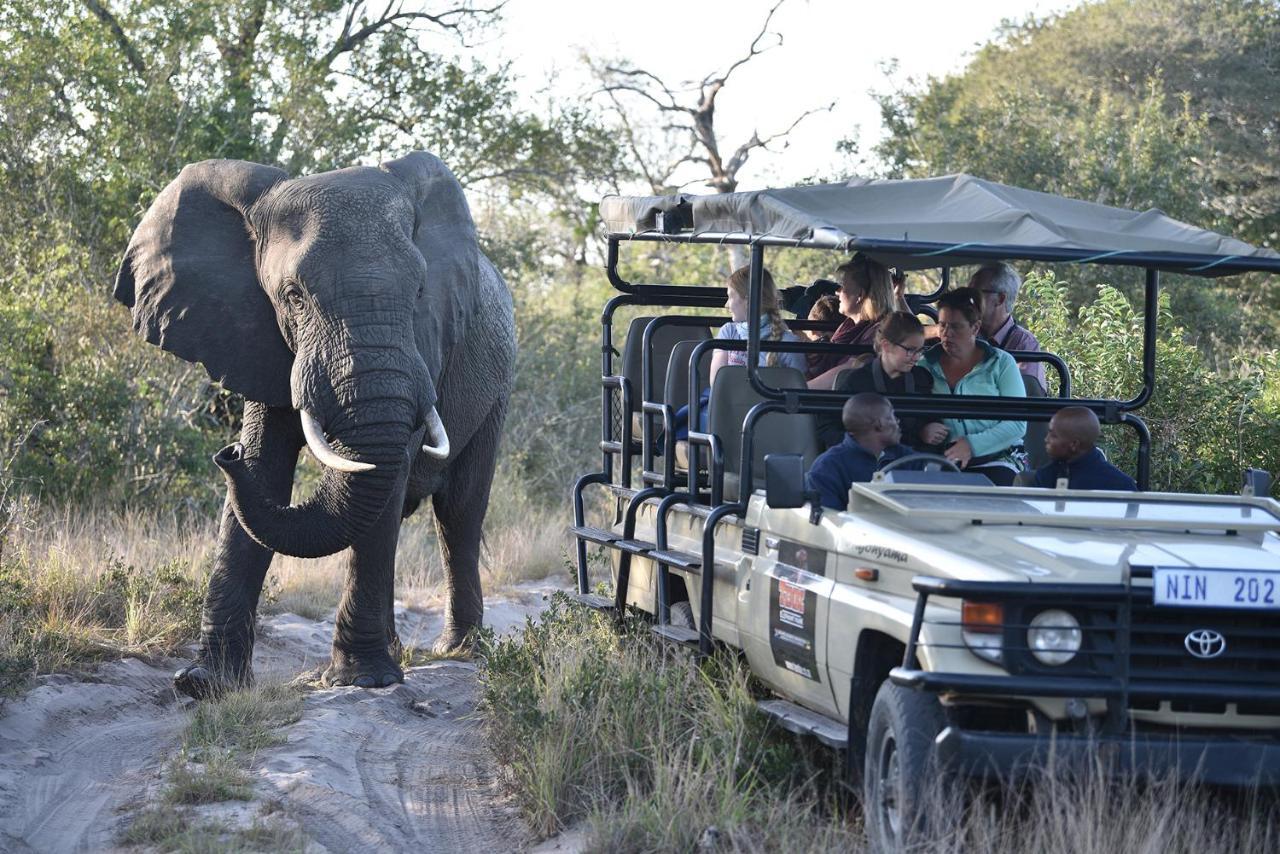 Tembe Elephant Park Lodge Sihangwane 外观 照片